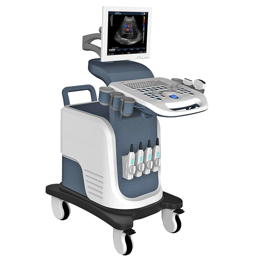 Color Doppler Ultrasound System