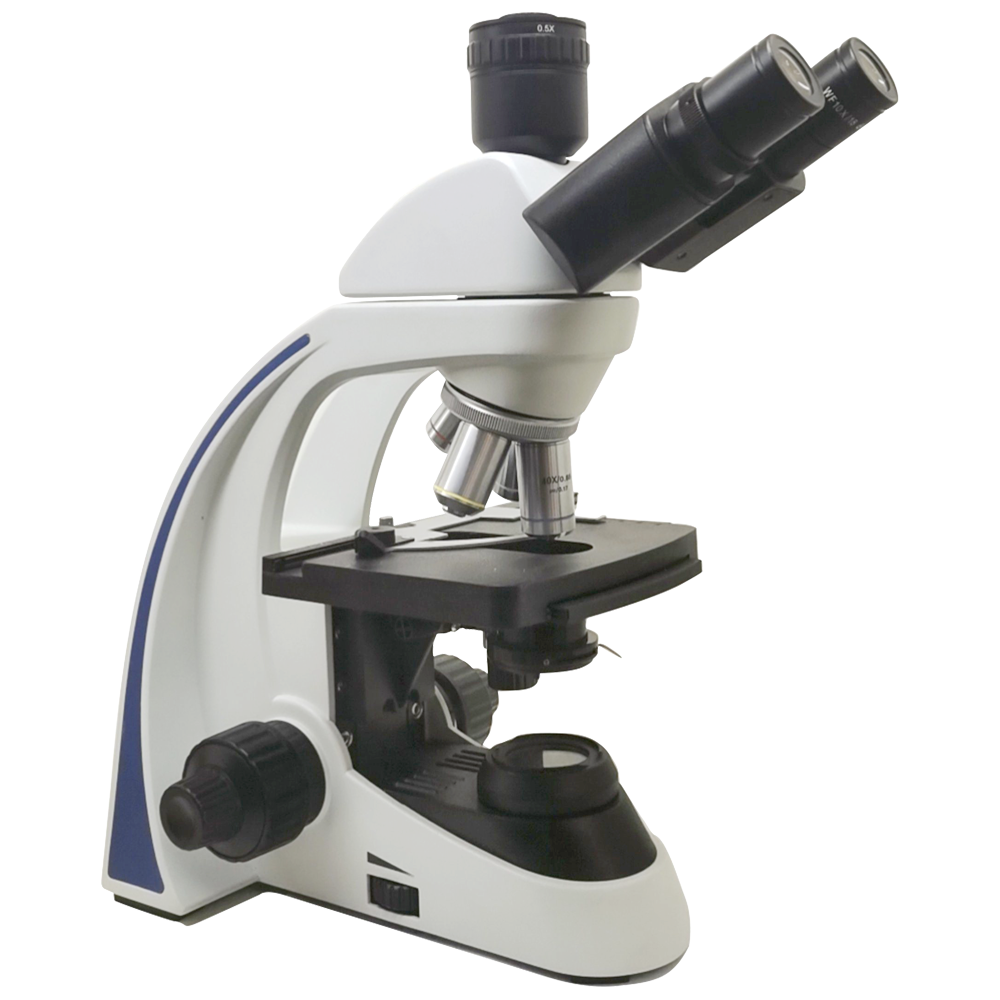 High Accurate Multi Function Biological Microscope For Lab Medical Equipment