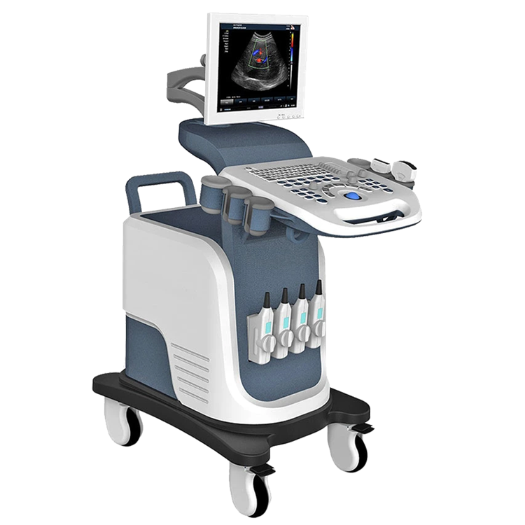 Color doppler ultrasound system