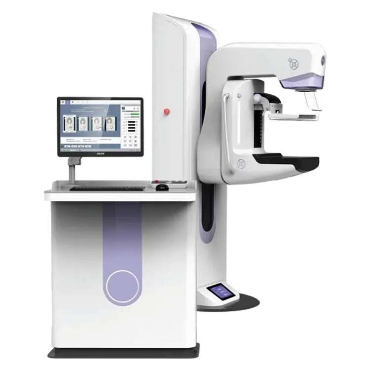 CAD system for digital mammography