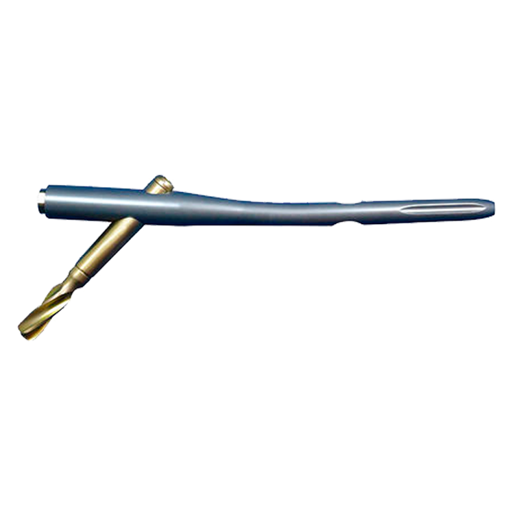 Femoral Intramedullary Nail (PFNA - Gamma)