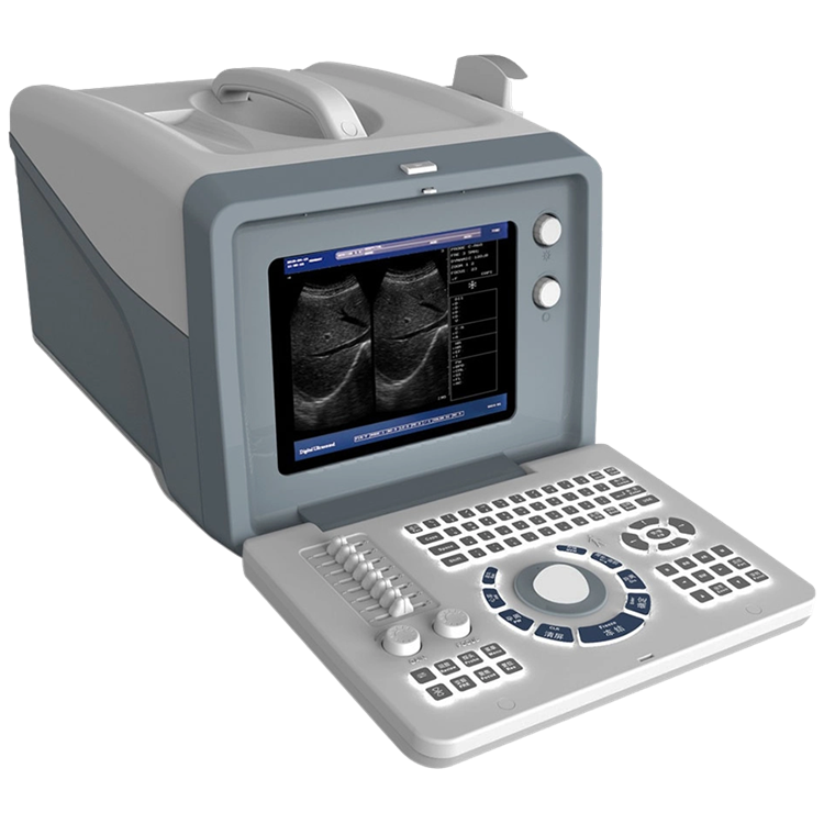 Portable B/W ultrasound scanner