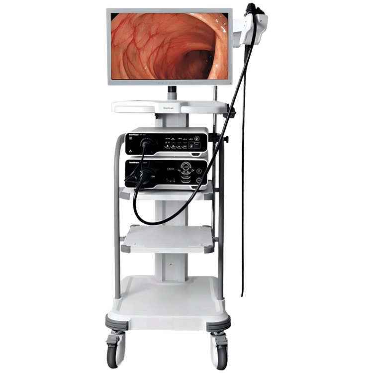 Sonoscape endoscopy system